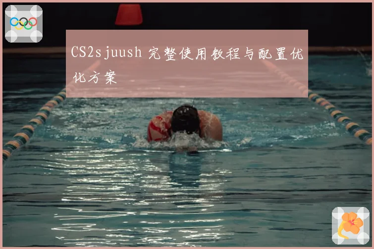 CS2sjuush 完整使用教程与配置优化方案