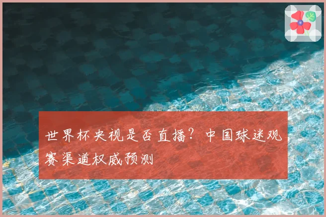 世界杯央视是否直播？中国球迷观赛渠道权威预测