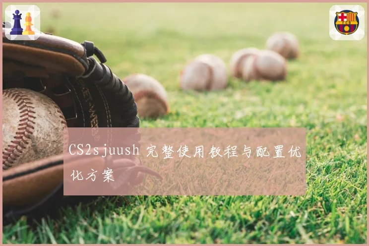 CS2sjuush 完整使用教程与配置优化方案