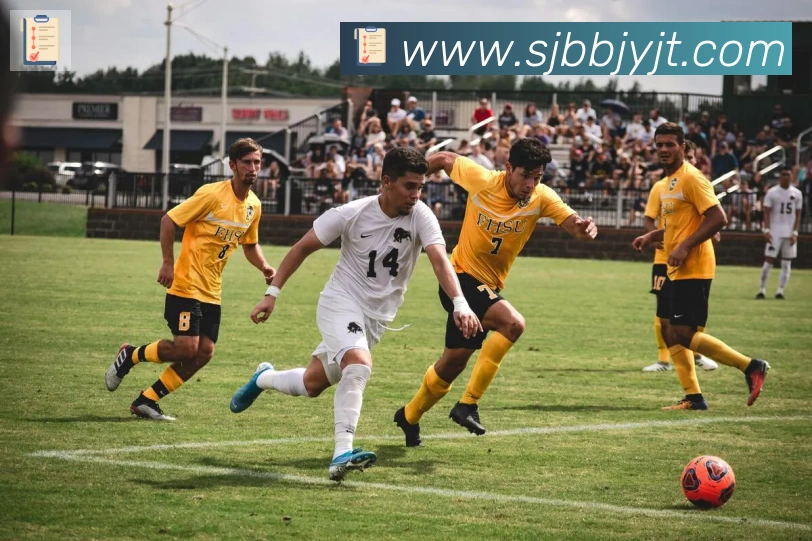 博亚app官网登录入口APP 体育赛事宣传图