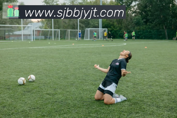 博亚app官网登录入口荣誉