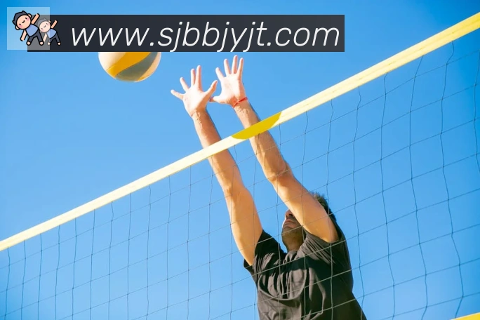 博亚app官网登录入口荣誉